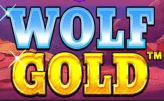 Wolf Gold Pragmatic play