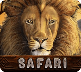 Safari Safari