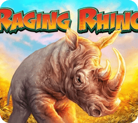 Raging rhino Raging Rhino