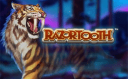 razortooth-slot razortooth-slot