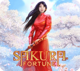 Sakura fortune 1 Safura Fortune