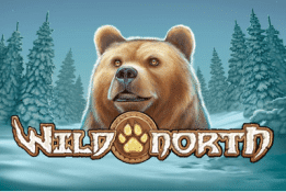 wild-north wild-north