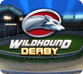Wildhound derby Wildhound Derby