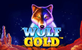 Wolf gold 1 wolf-gold (1)