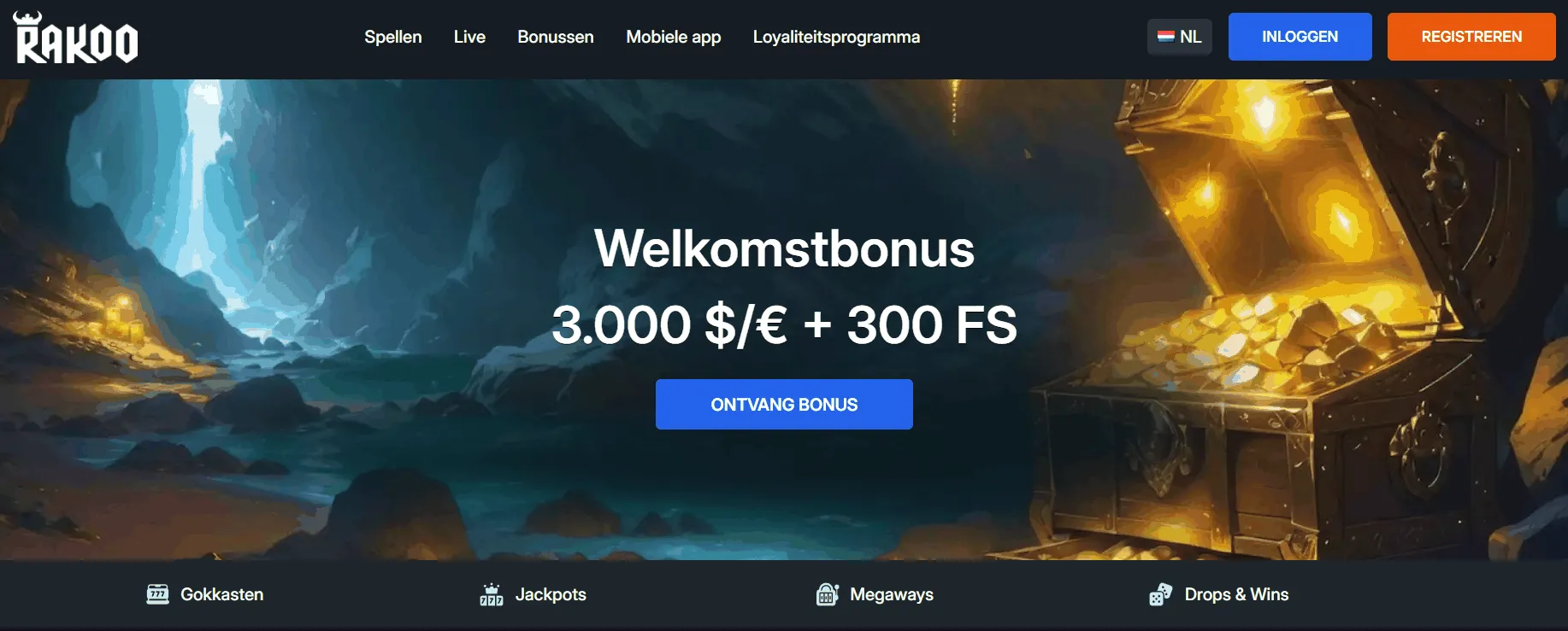 Rakoo Website Rakoo Startpagina