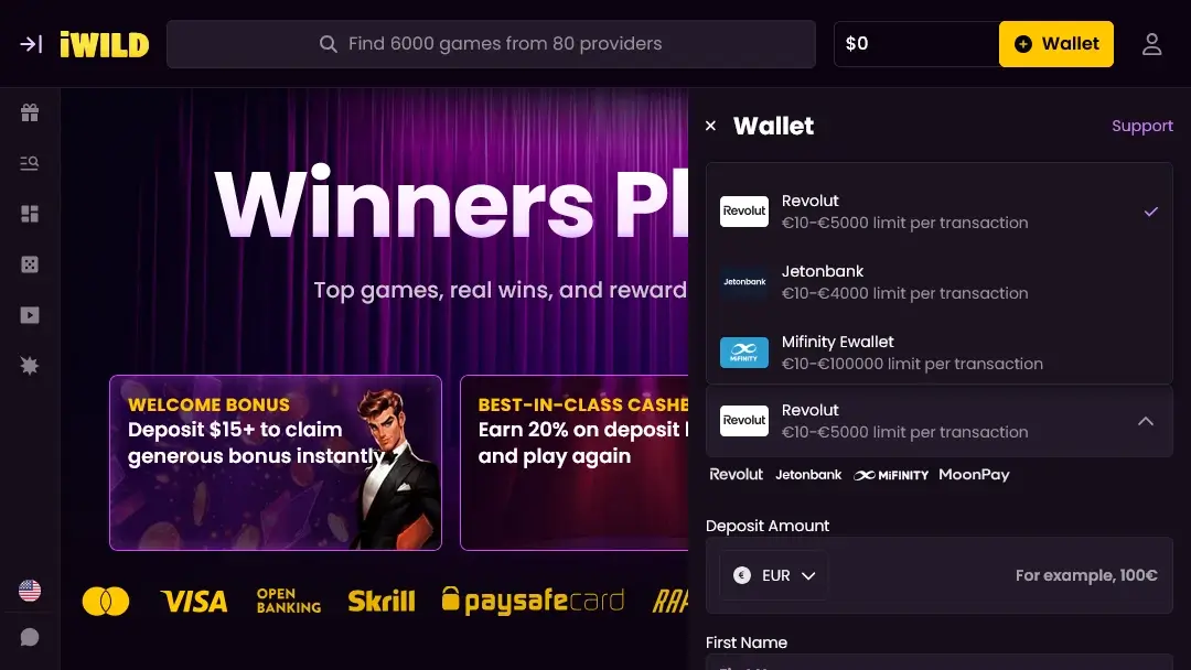 iWild Online Casino – Wallet Deposit Options online banking in iWild Casino